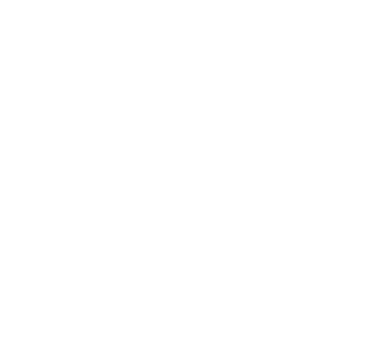 IEEE