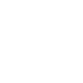 Verifone